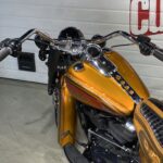 Harley Davidson CVO CHICANO