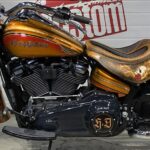 Harley Davidson CVO CHICANO