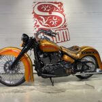 Harley Davidson CVO CHICANO