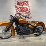 Harley Davidson CVO CHICANO