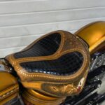 Harley Davidson CVO CHICANO