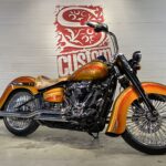 Harley Davidson CVO CHICANO