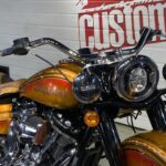 Harley Davidson CVO CHICANO