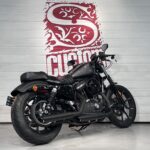 Harley Davidson XL883