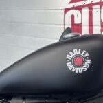 Harley Davidson XL883N