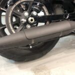 Harley Davidson XL883N