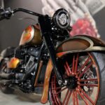 Harley Davidson Softail Heritage Chikano