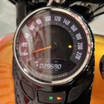 Harley Davidson Softail Heritage Chikano