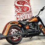 Harley Davidson Softail Heritage Chikano