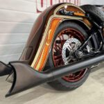 Harley Davidson Softail Heritage Chikano