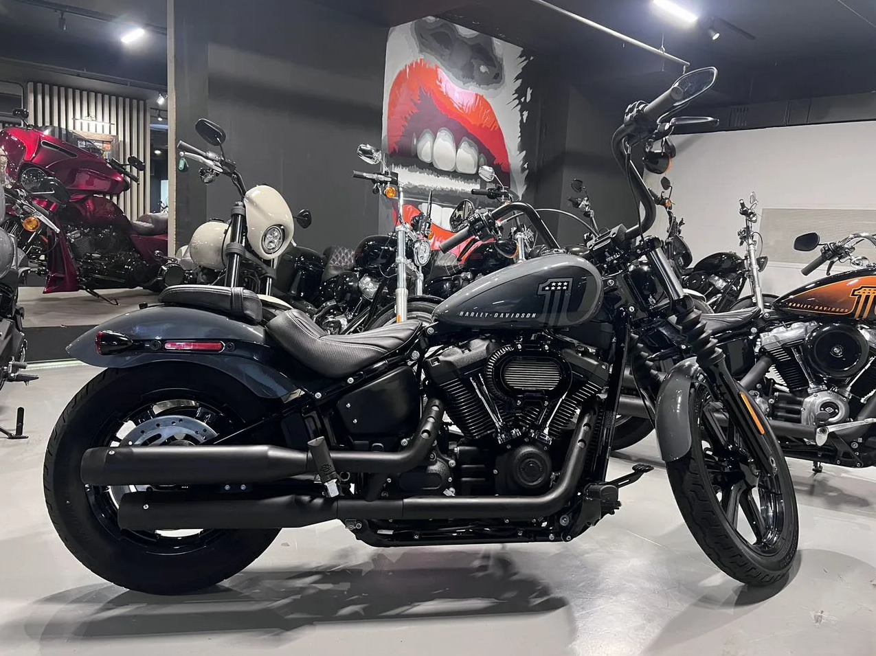 Harley-Davidson Street Bob: эволюция боббера от Dyna до Softail