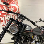 Harley Davidson CVO Thundеr Mountаin